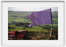 Allendale2008-005