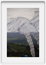 Allendale2008-007
