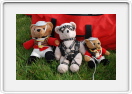 Allendale2008-034