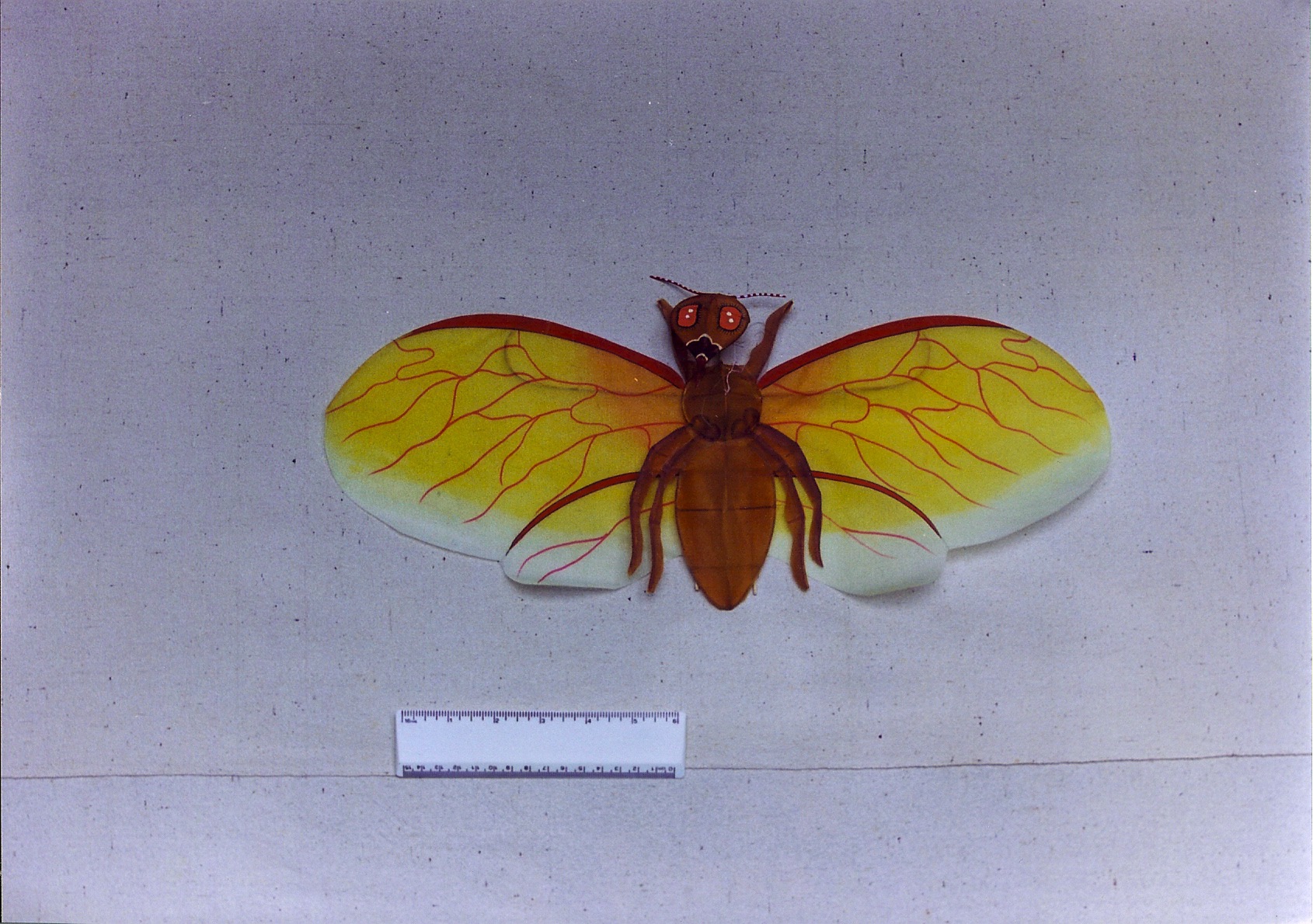 l3 