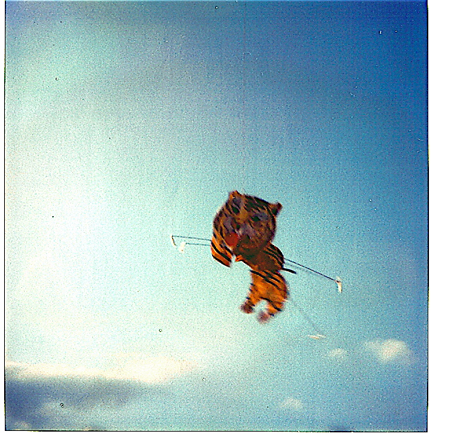 l54 
