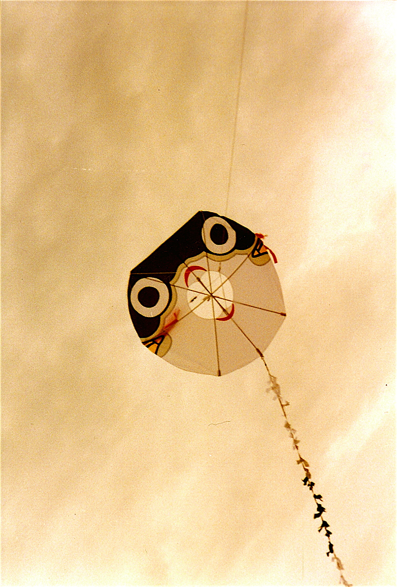 l12 