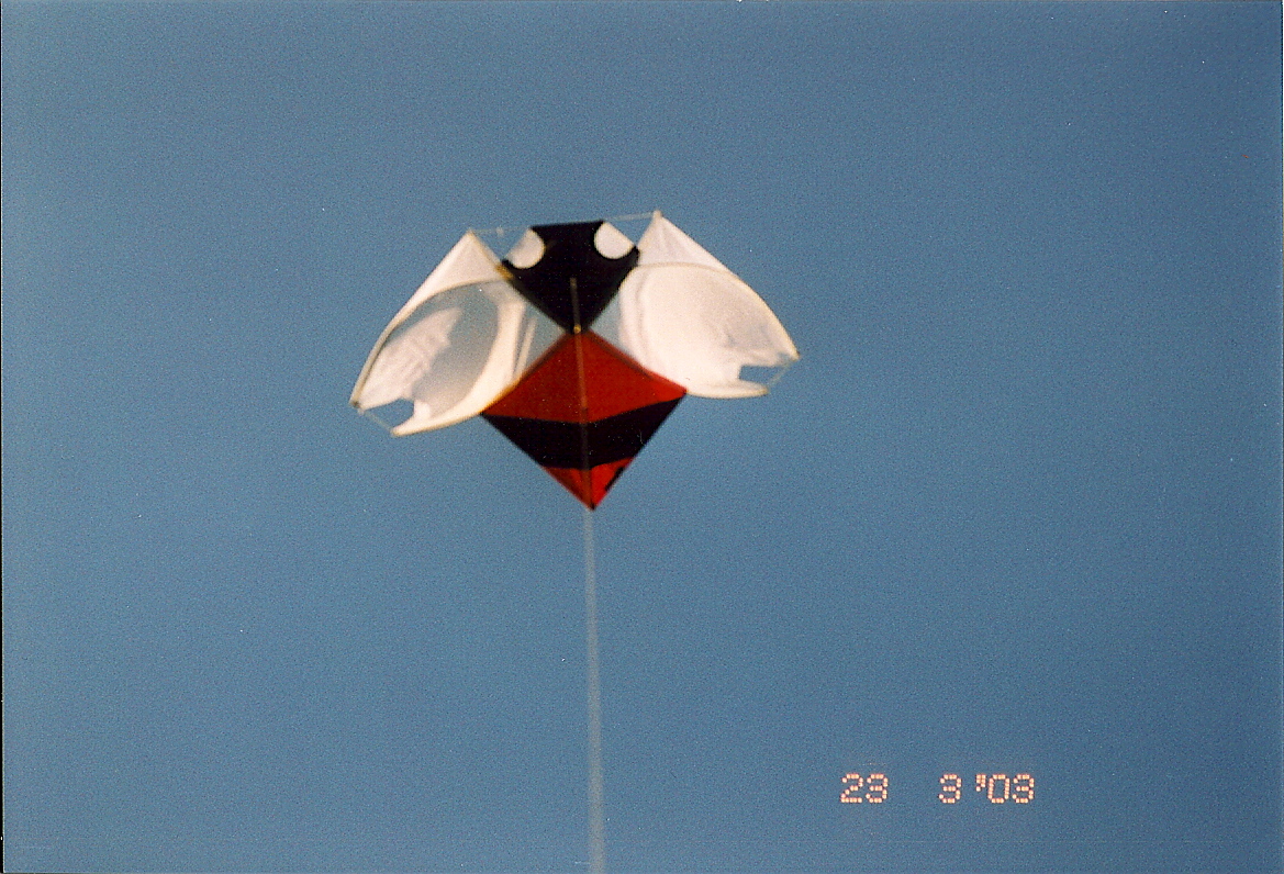 l13 