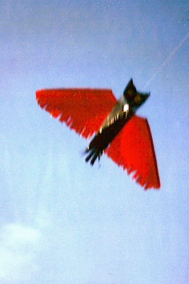 l1 