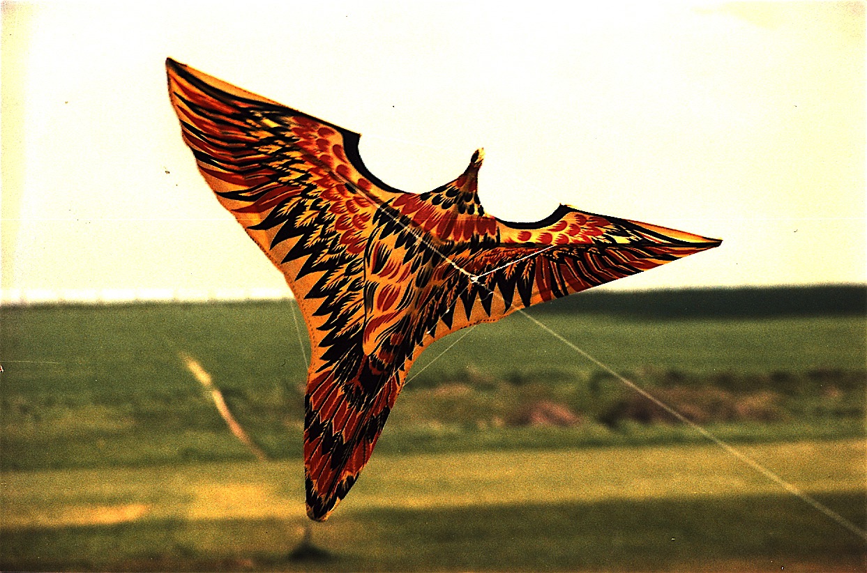 l11 