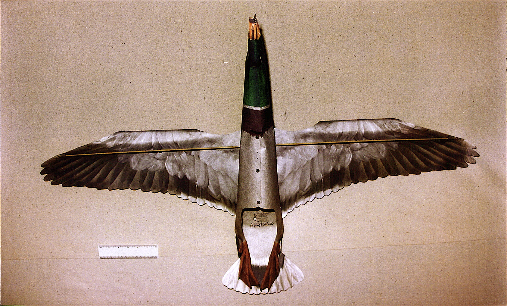 l18 
