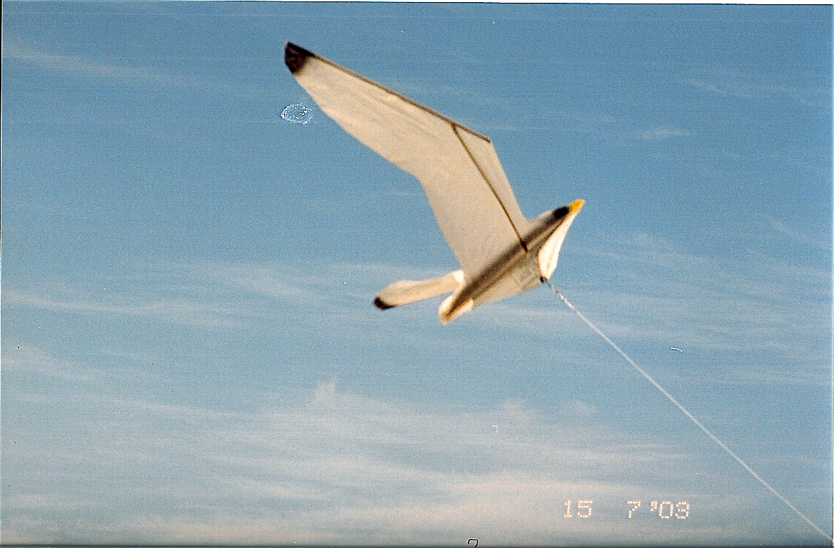l21 