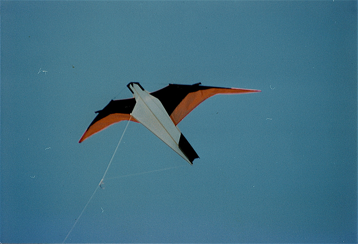 l26 