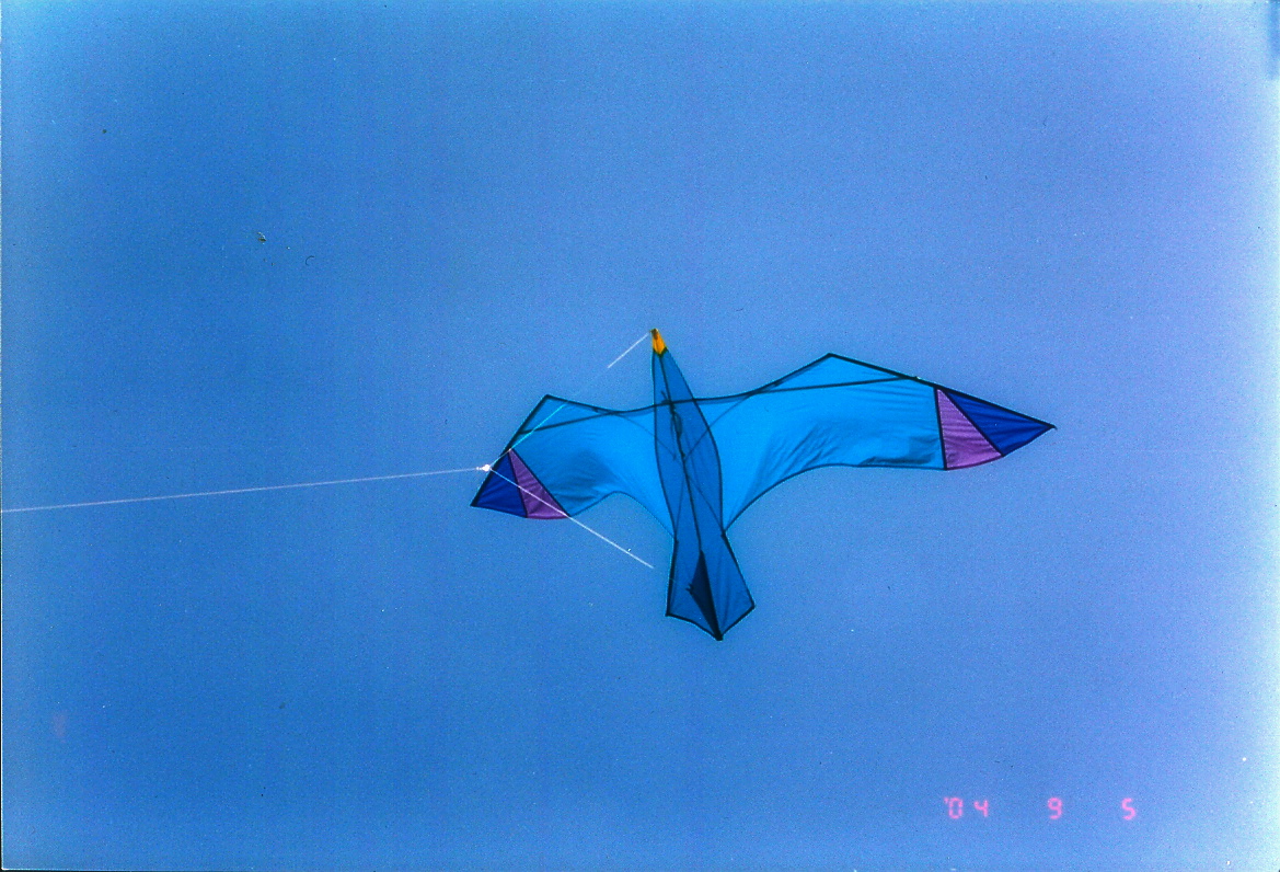 l28 