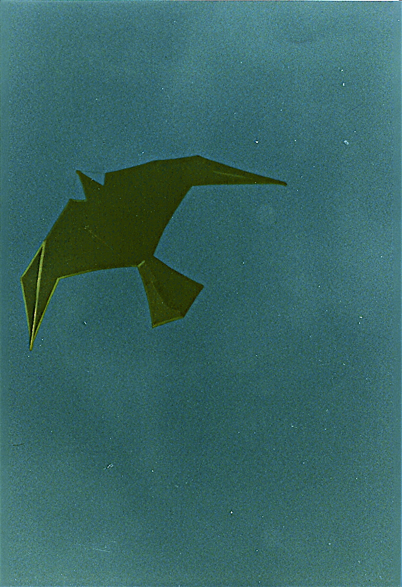 l34 