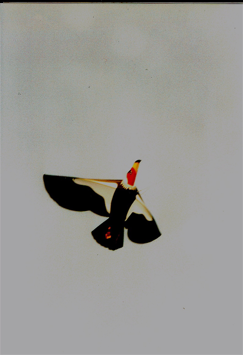 l6 