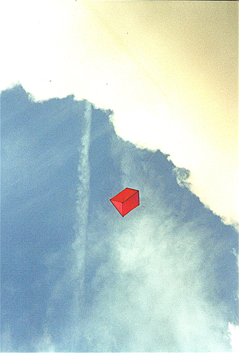 l1 