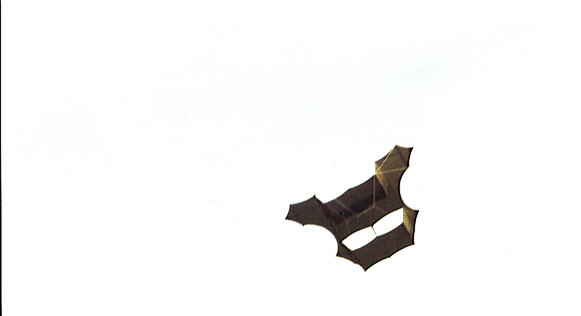 l43 