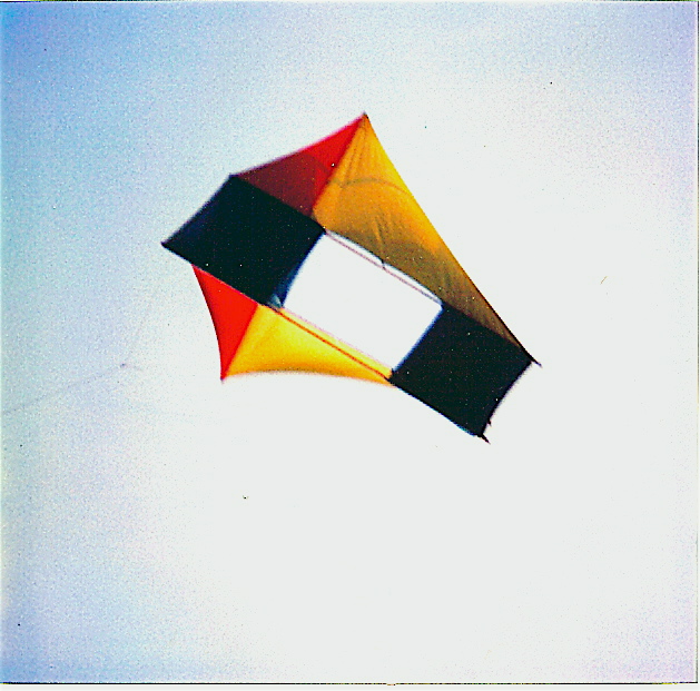 l1 