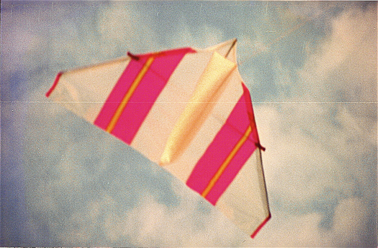 l19 