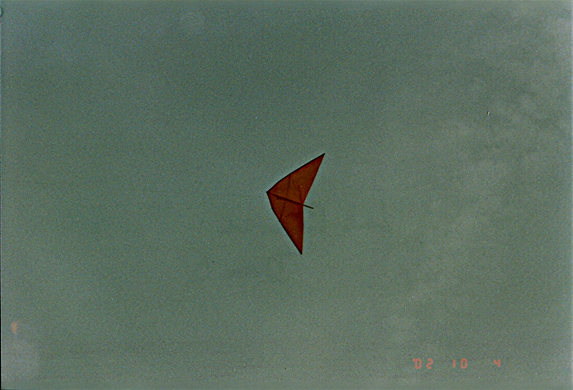 l21 