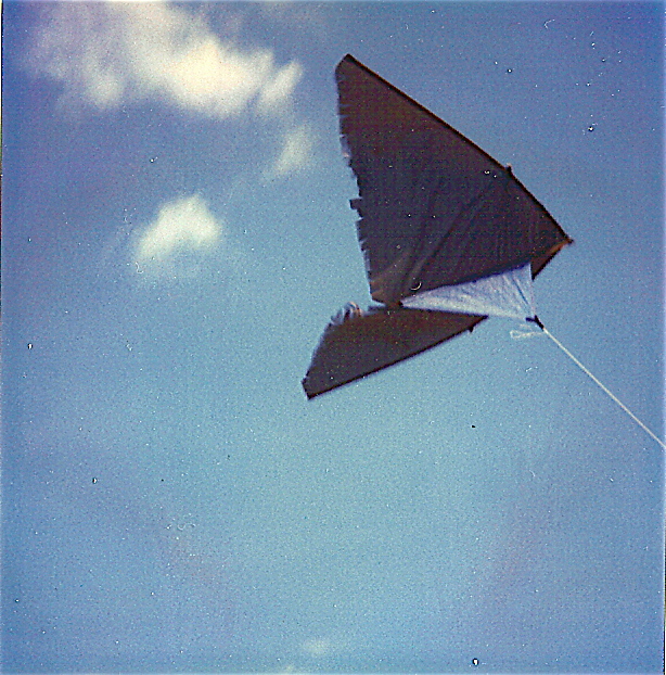 l25 