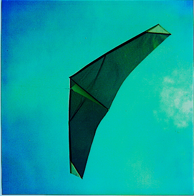 l36 