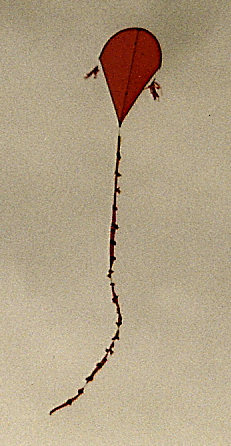 l1 