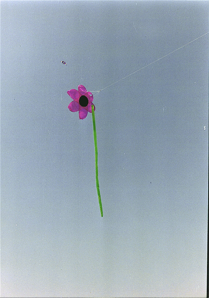 l26 