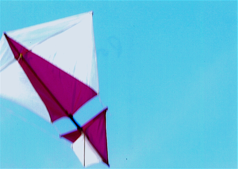 l41 