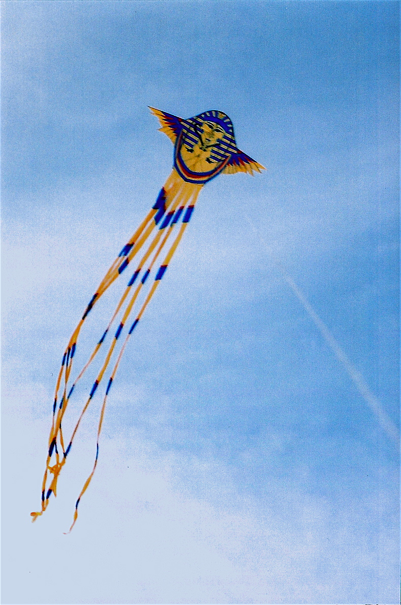 l50 