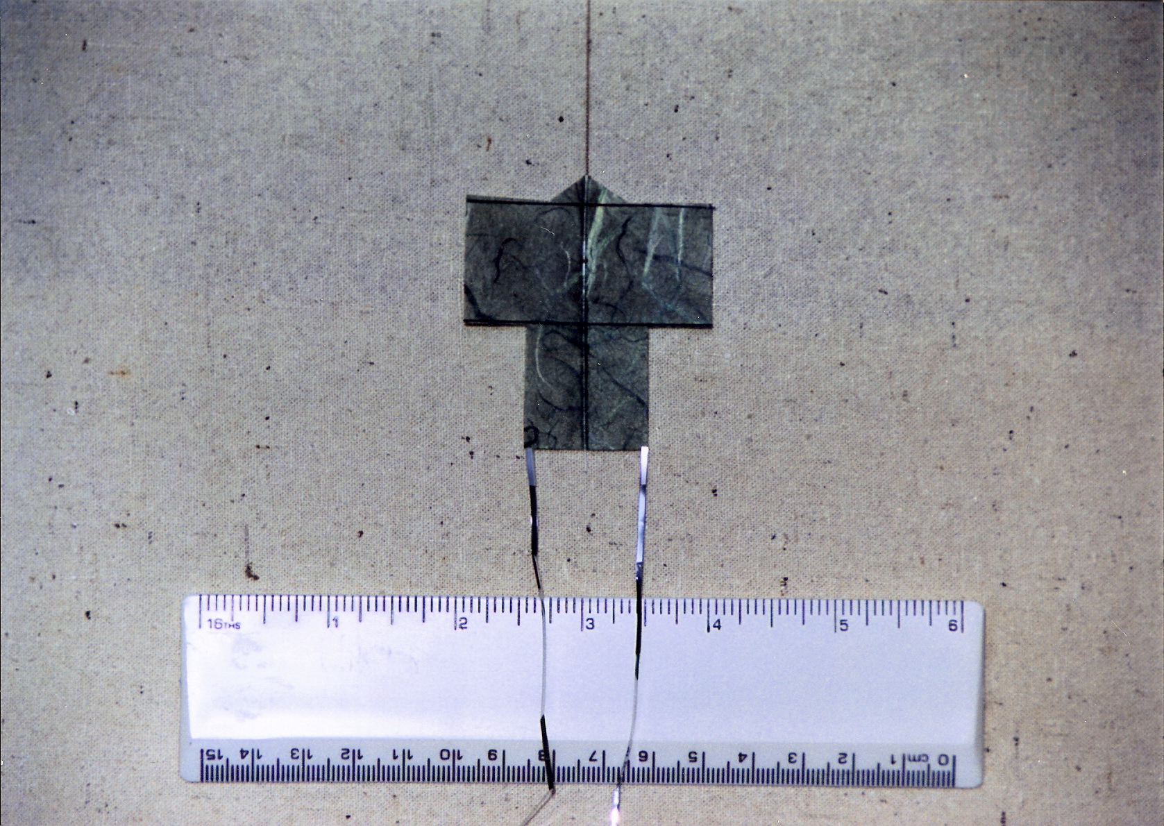 l6 