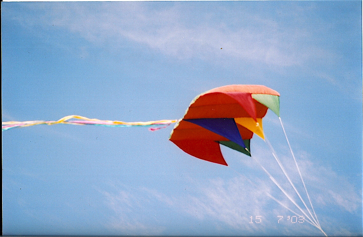 l1 