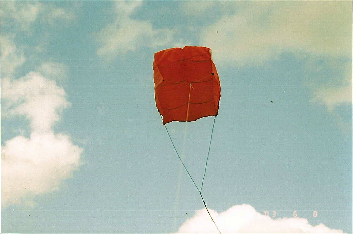 l11 