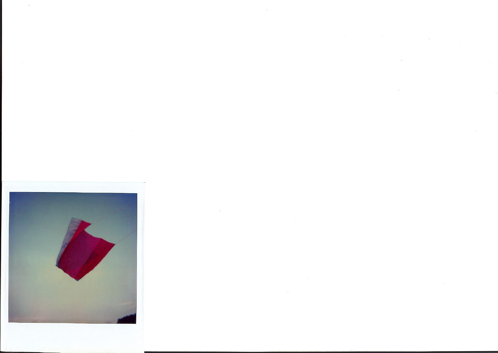 l6 