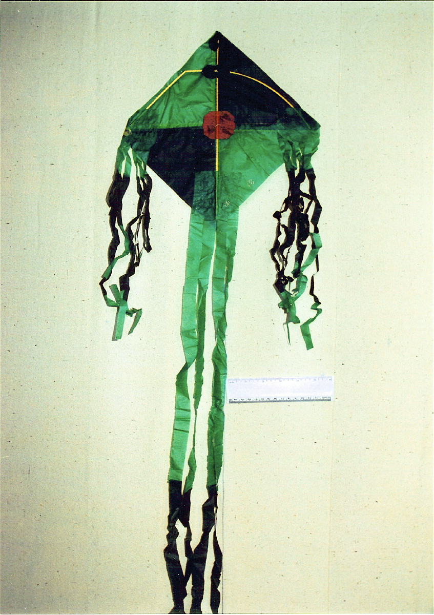 l13 