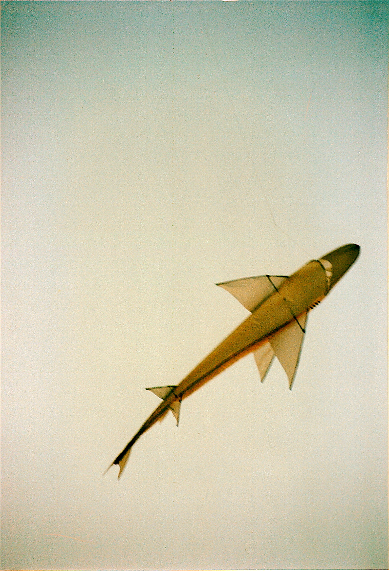l3 