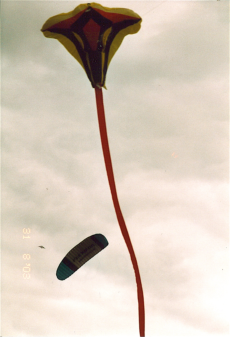 l1 