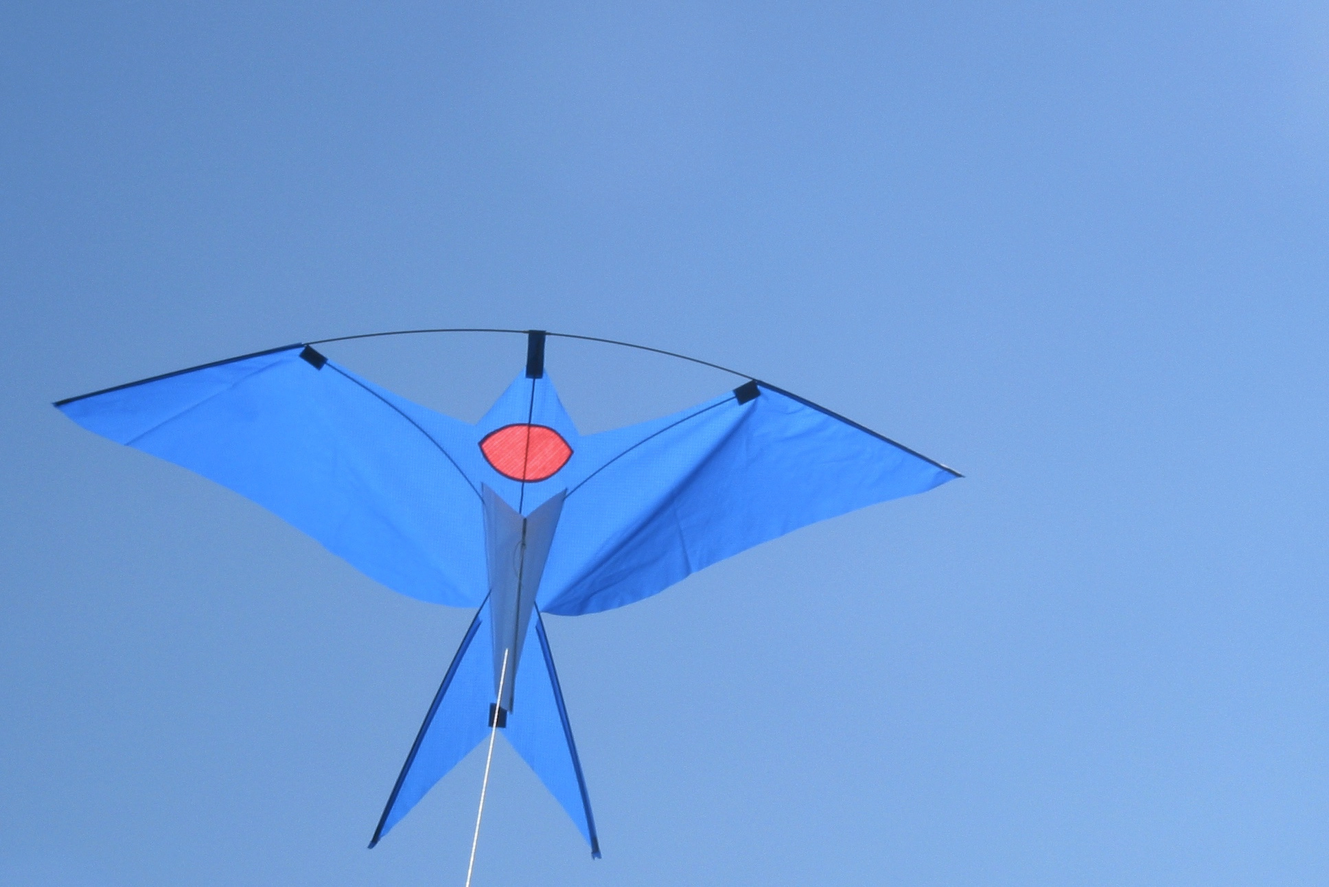 Bluebird 