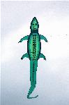 Alligator
