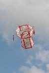 Chinese lantern