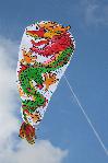 Dragon snake