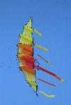 Hoffmann's bow