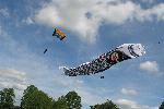 Koi Carp windsock