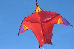 Ostend redbird
