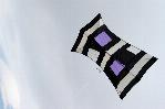 Purple squares