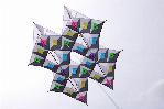 Quad harlequin