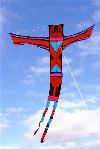 Spirit of Reza (new)
