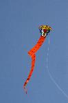 Thai paper snake