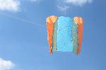 Wycombe Wasp (blue-orange)